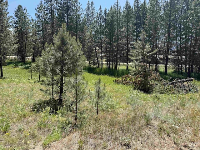 93 E Prospectors, Cascade, ID 83611
