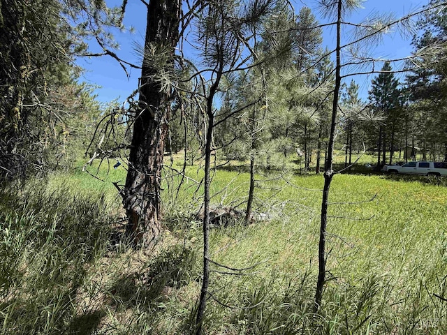 93 E Prospectors, Cascade, ID 83611