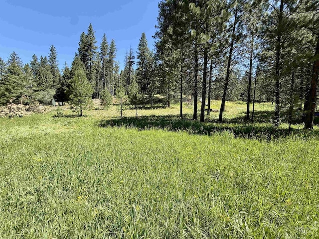 93 E Prospectors, Cascade, ID 83611