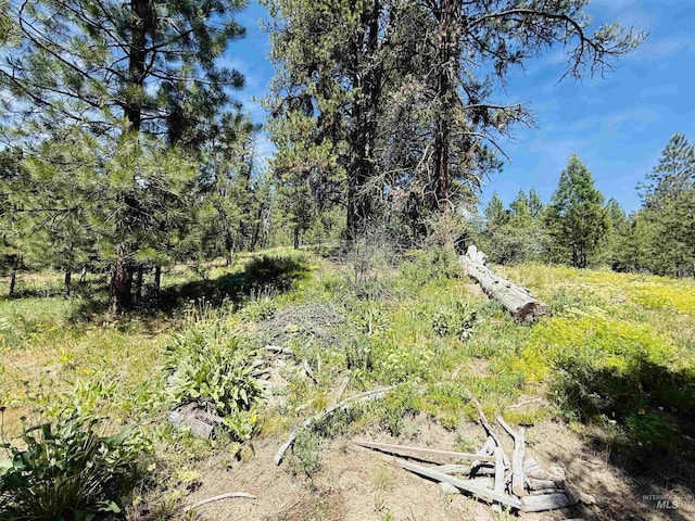93 E Prospectors, Cascade, ID 83611