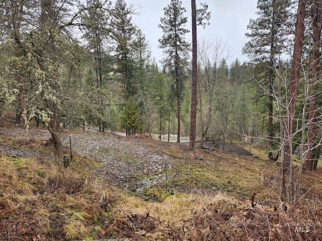 TBD Elwood St, Parcel B, Peck ID, 83545 land for sale