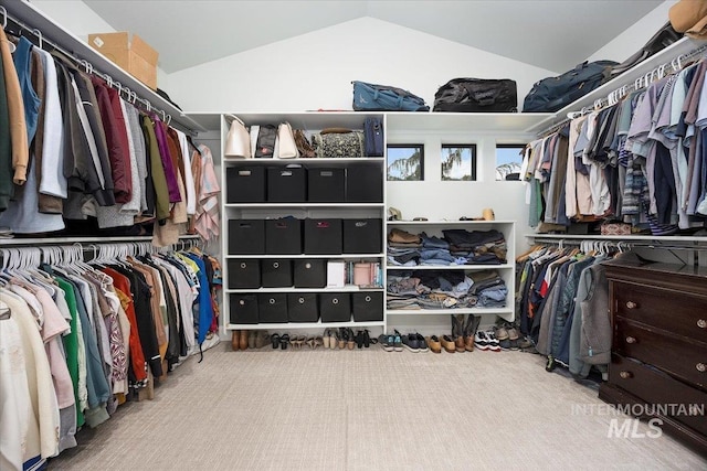 walk in closet with lofted ceiling and carpet floors