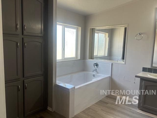 bathroom featuring vanity, a bath, and wood finished floors