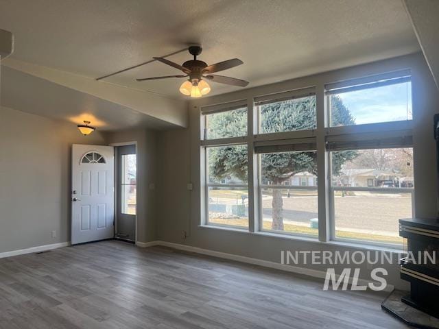 foyer entrance featuring a wealth of natural light, a wood stove, and wood finished floors