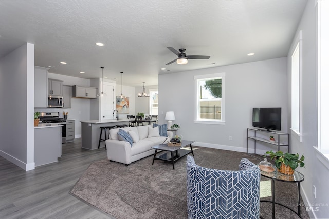 living room with sink, dark wood-type flooring, ceiling fan with notable chandelier, and a textured ceiling