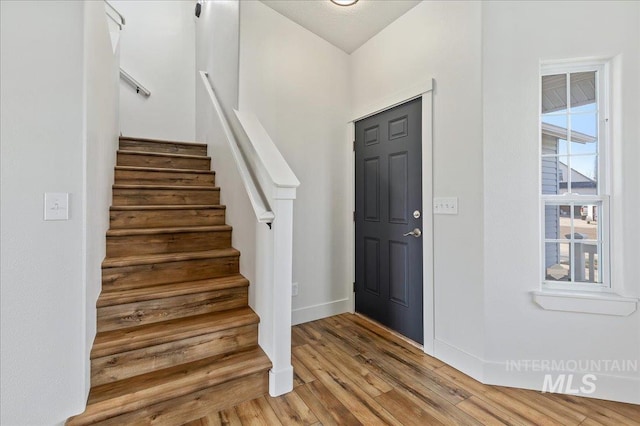 entryway featuring hardwood / wood-style flooring