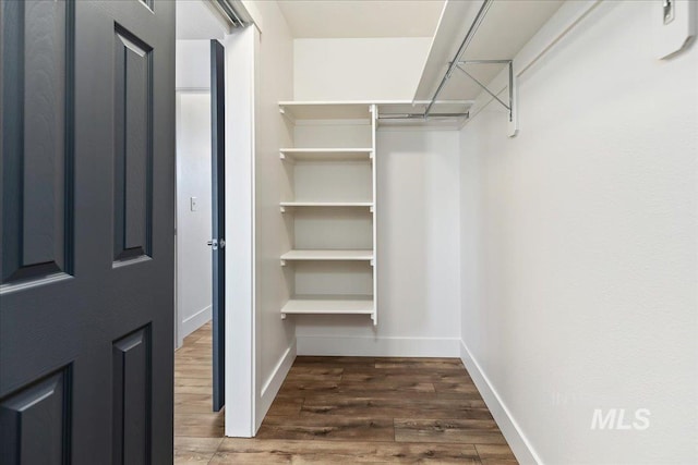 walk in closet with dark hardwood / wood-style flooring