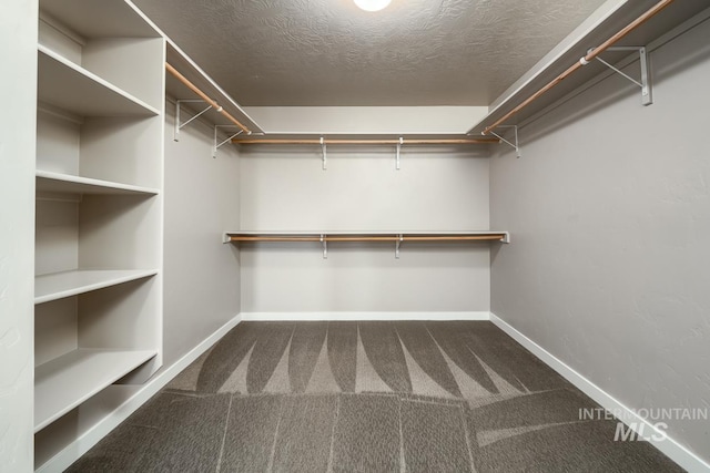 walk in closet with carpet