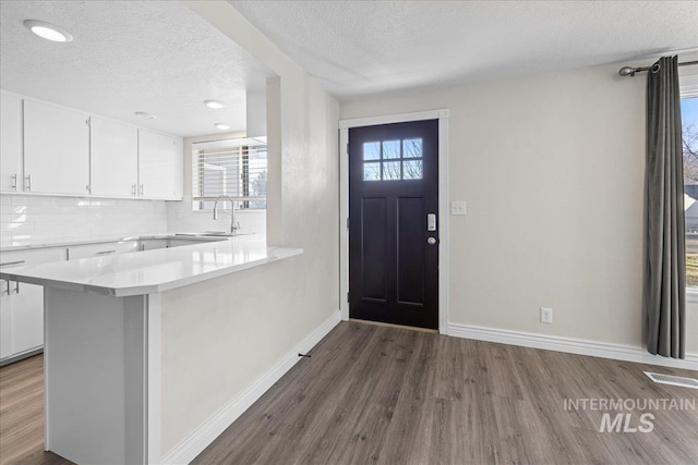 foyer featuring dark wood-type flooring, sink, a textured ceiling, and a wealth of natural light