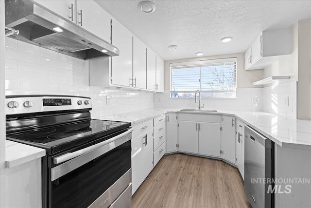 kitchen with white cabinetry, stainless steel appliances, and sink