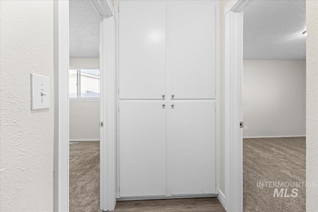 hall with carpet and a textured ceiling