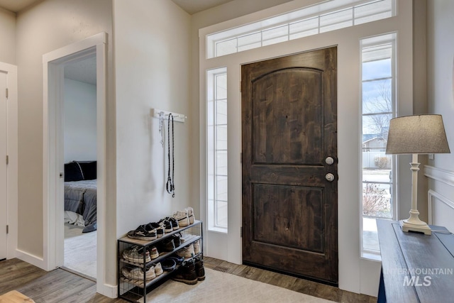 foyer entrance featuring plenty of natural light and wood finished floors