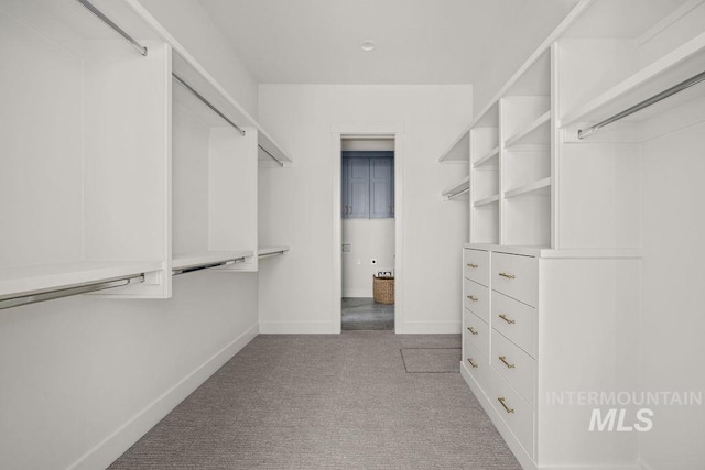 spacious closet featuring light carpet