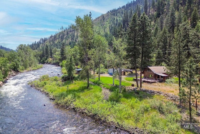 5650 Pines Rd, New Meadows, ID 83654 - surrounding community with a forest view and a mountain view