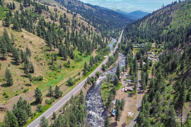 5650 Pines Rd, New Meadows, ID 83654 - aerial overview of property's location featuring a mountainous background and a forest