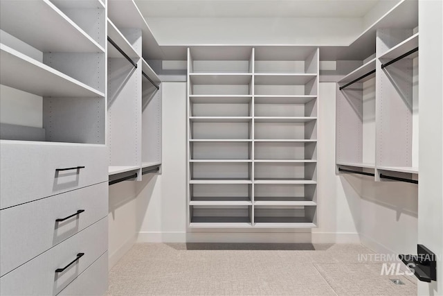 9989 W Bouvardia St, Star, ID 83699 - walk in closet featuring carpet floors
