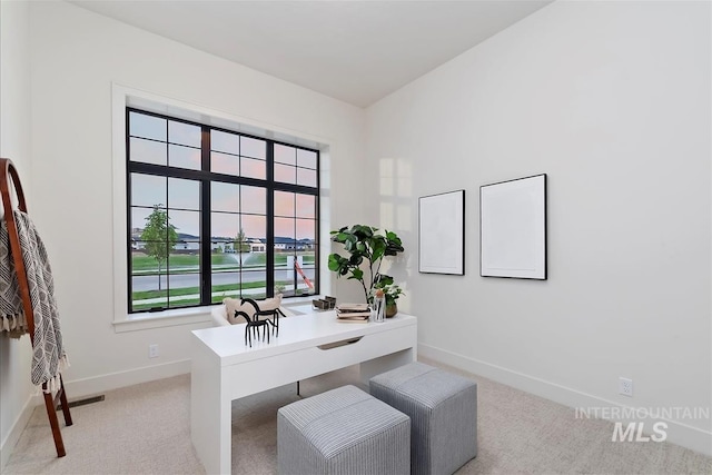9989 W Bouvardia St, Star, ID 83699 - home office featuring light carpet and baseboards