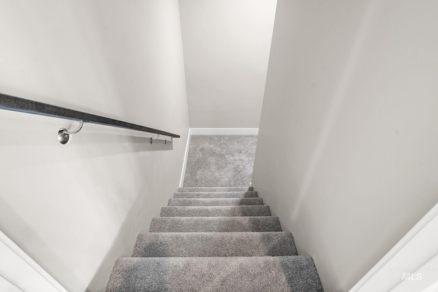 stairway with carpet