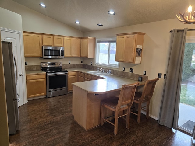 kitchen featuring kitchen peninsula, appliances with stainless steel finishes, dark hardwood / wood-style flooring, vaulted ceiling, and sink