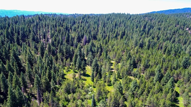 Listing photo 2 for TBD1-3 Horsethief Rd, Cascade ID 83611