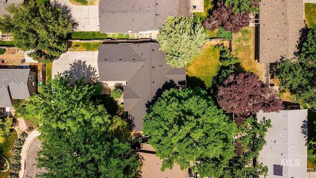 5426 W Samara Ct, Boise, ID 83703 - bird's eye view