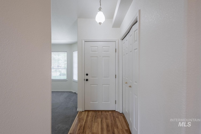 5426 W Samara Ct, Boise, ID 83703 - entryway with wood finished floors and baseboards