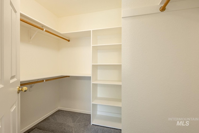 5426 W Samara Ct, Boise, ID 83703 - spacious closet with dark carpet