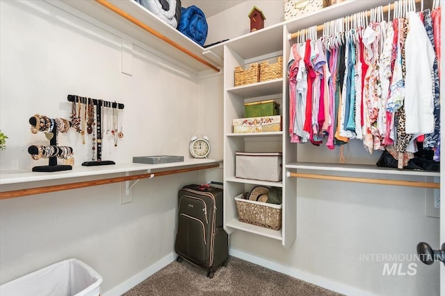 27482 Warren Ln, Wilder, ID 83676 - walk in closet featuring carpet