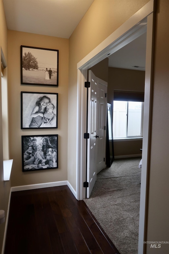 hall featuring dark hardwood / wood-style floors