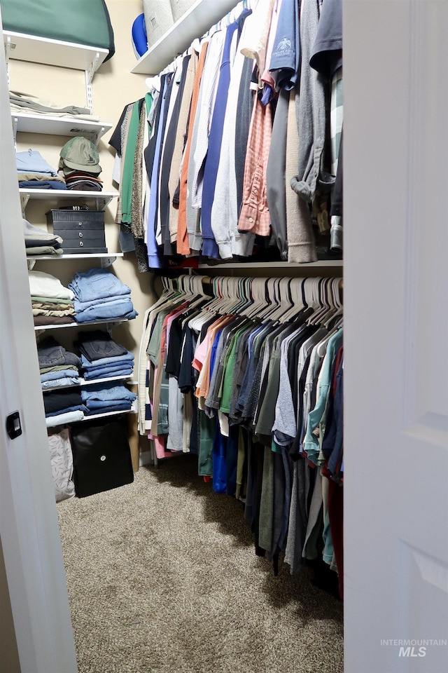 spacious closet with carpet floors