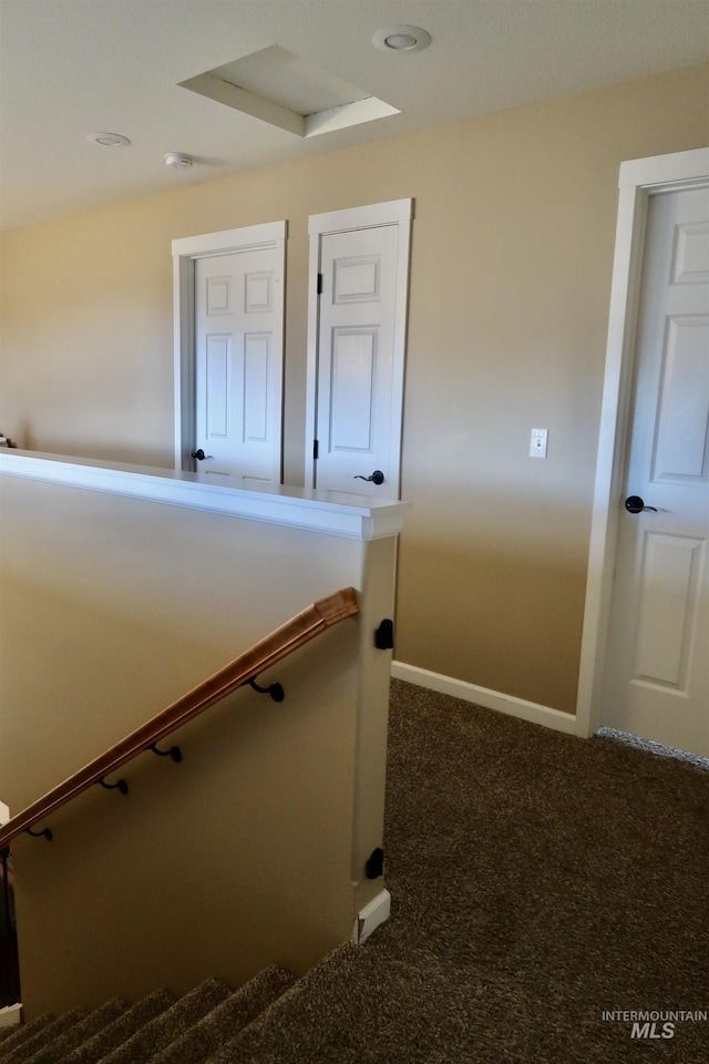 staircase with carpet floors