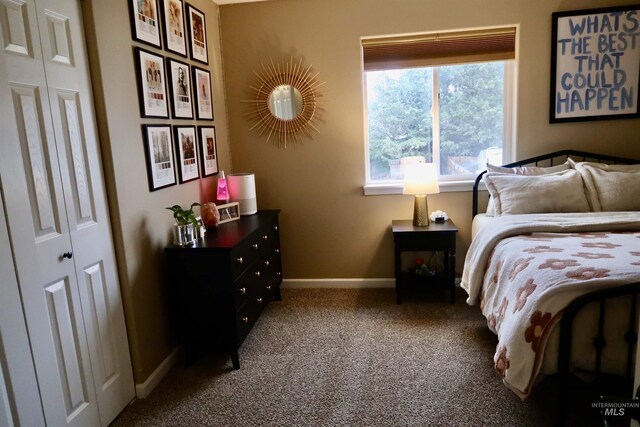 carpeted bedroom featuring a closet