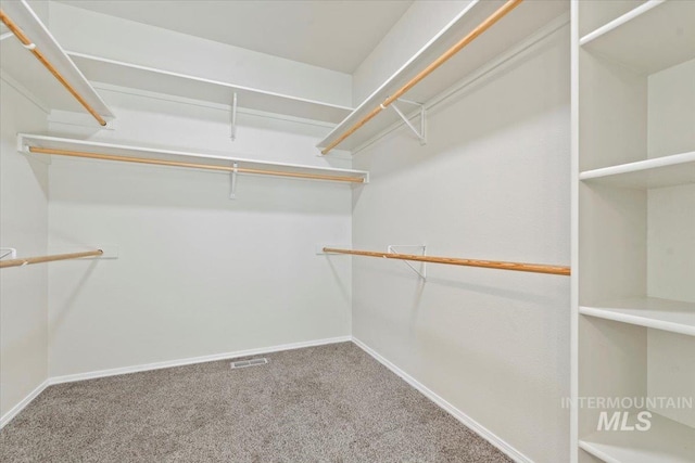 walk in closet featuring carpet flooring and visible vents