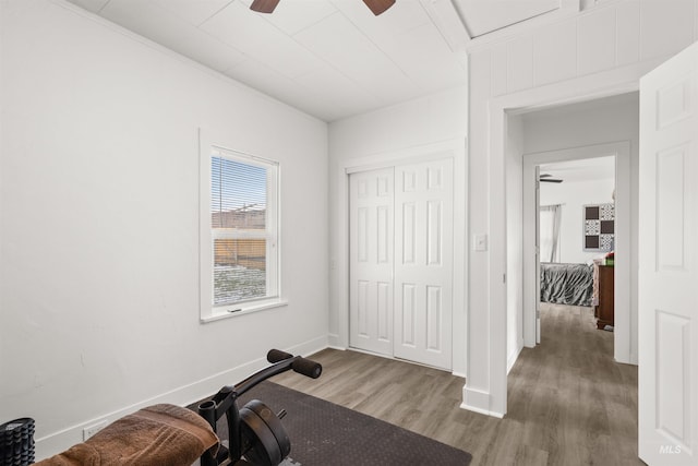 exercise area with hardwood / wood-style flooring and ceiling fan