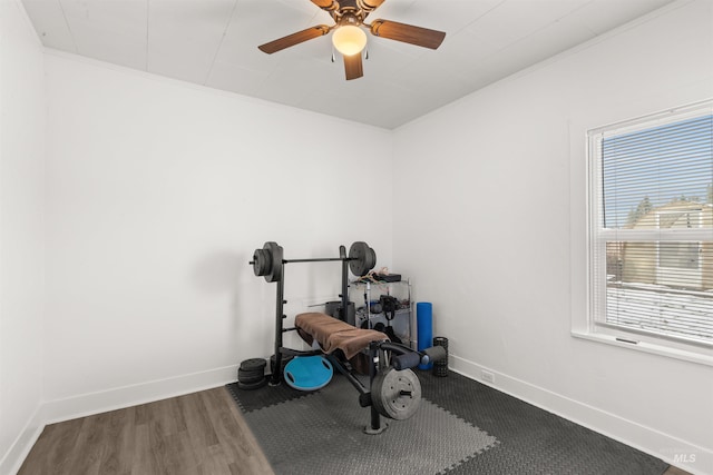 workout room with ceiling fan, crown molding, and hardwood / wood-style flooring