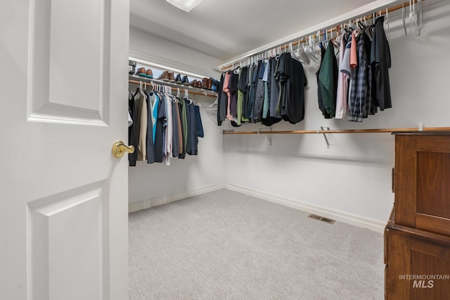 176 Marine View Dr, Lewiston, ID 83501 - spacious closet featuring carpet flooring