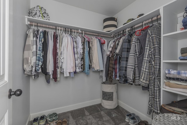 view of spacious closet