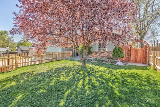 view of yard featuring a fenced backyard