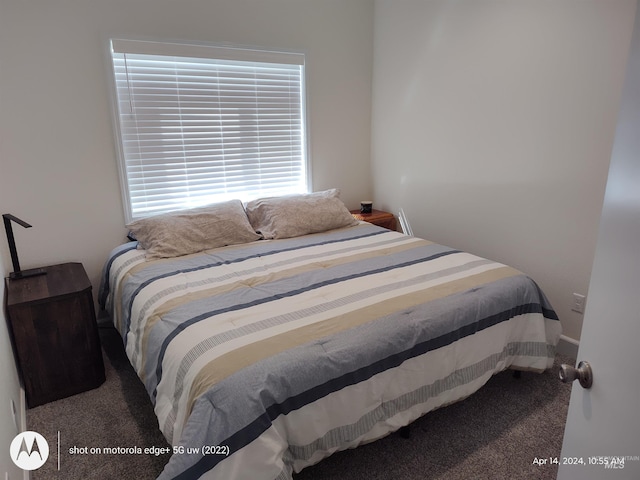 1018 S Washington Ave, Emmett, ID 83617 - carpeted bedroom with multiple windows