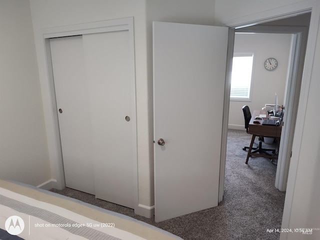 1018 S Washington Ave, Emmett, ID 83617 - bedroom with carpet floors and a closet