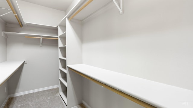 spacious closet featuring carpet flooring
