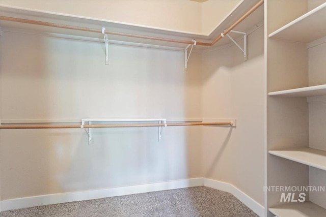 1112 W Belknap Dr, Nampa, ID 83686 - walk in closet with carpet flooring
