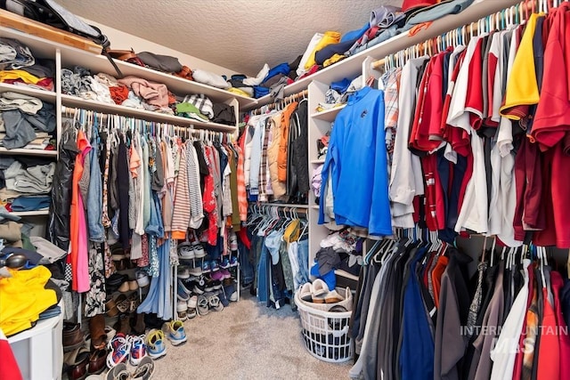 spacious closet with carpet