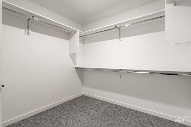 walk in closet featuring dark colored carpet