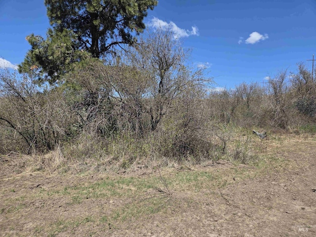 TBD Lenville Rd, Moscow, ID 83843