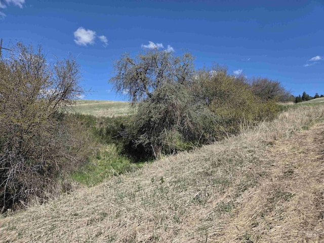 TBD Lenville Rd, Moscow, ID 83843
