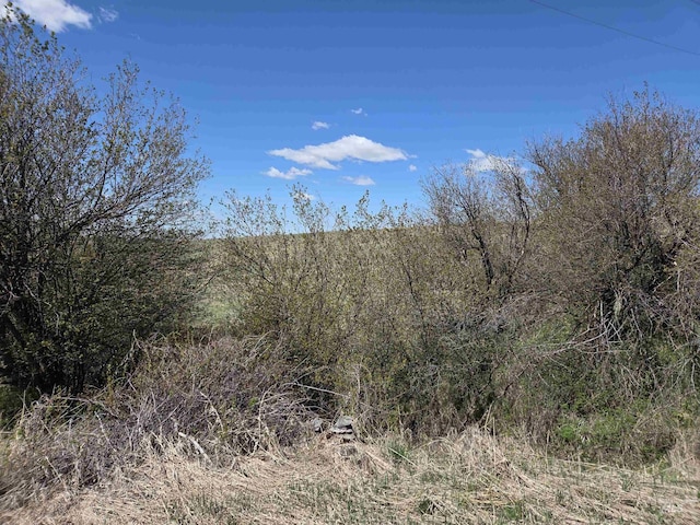 TBD Lenville Rd, Moscow, ID 83843