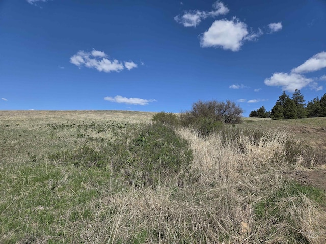 TBD Lenville Rd, Moscow, ID 83843