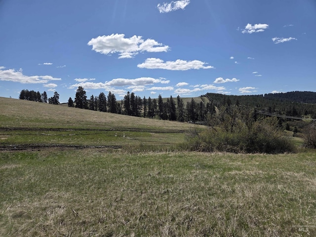 TBD Lenville Rd, Moscow, ID 83843