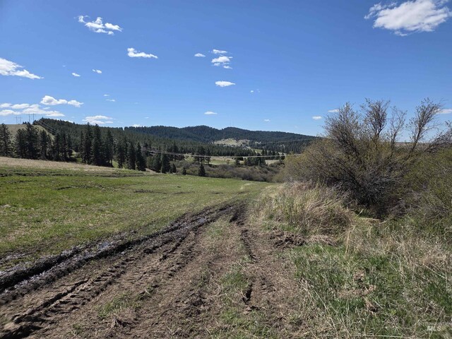 TBD Lenville Rd, Moscow, ID 83843